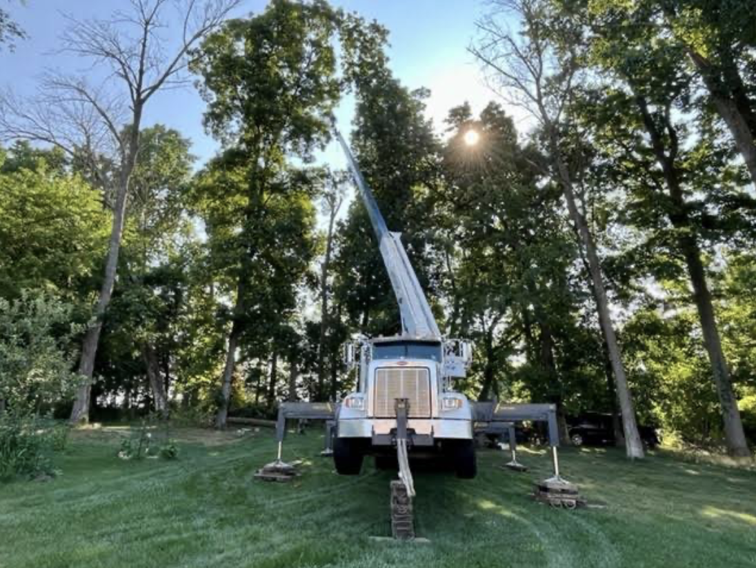 Phantom Tree Service crew removing a tree in Downingtown, PA