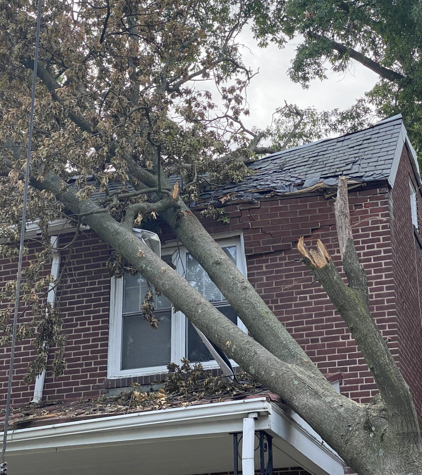24/7 emergency tree removal in West Chester, PA by Phantom Tree Service