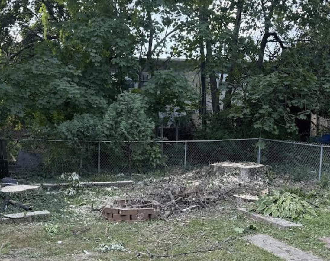 Stump grinding service in Chester County, PA by Phantom Tree Service